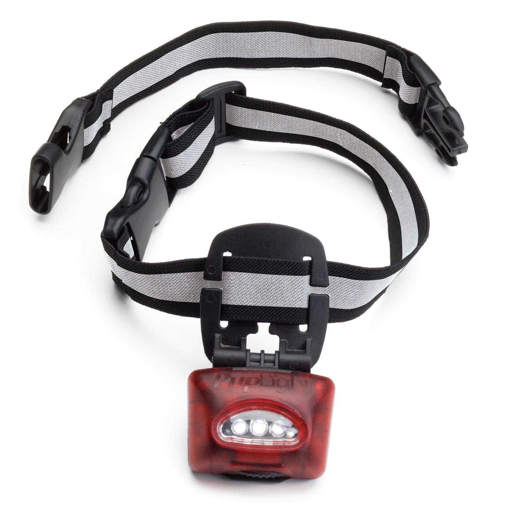 Dog Safety Light W53624