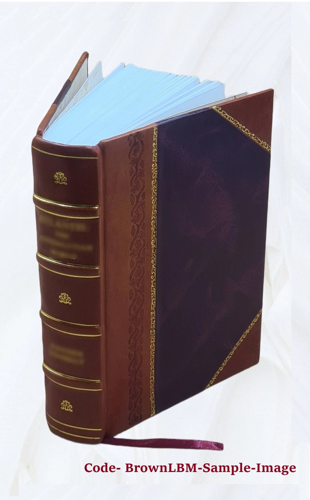 Montesquieu Œuvres complètes W147