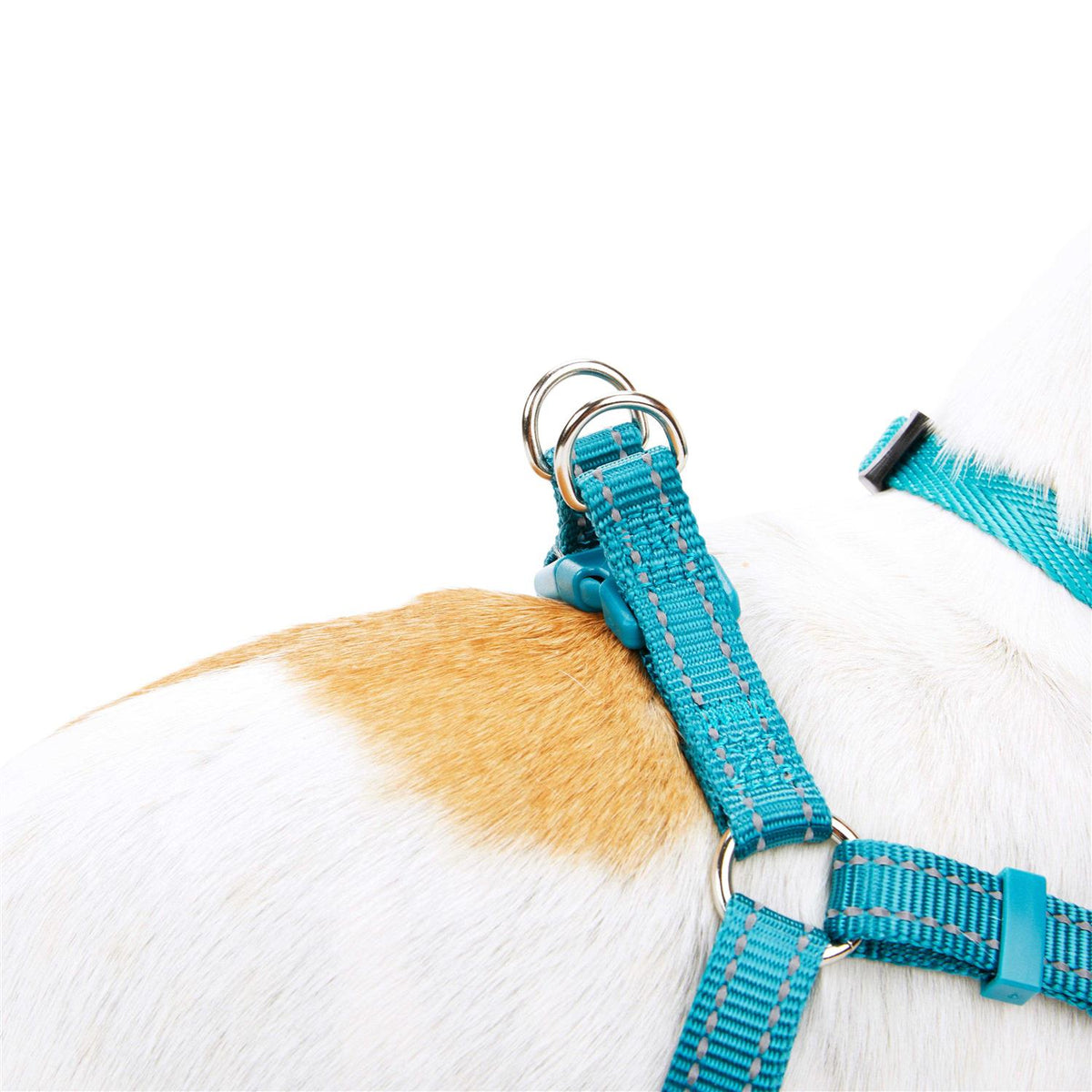 Reflective Dog Harness J865