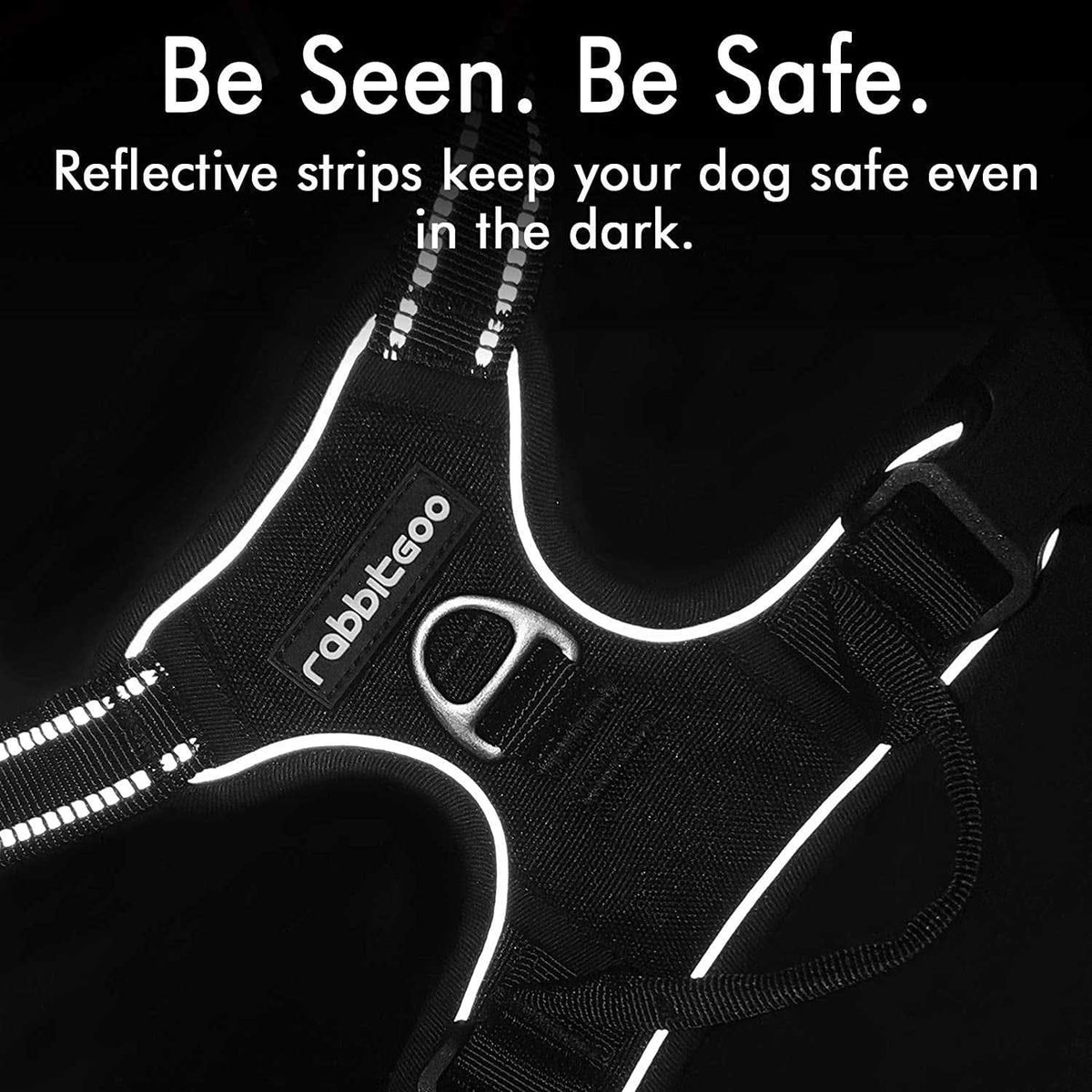 Adjustable Soft Padded Dog Harness with 2 Leash Clips A68974