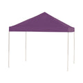 10 ft. W x 10 ft. D Straight Leg Pop-Up Canopy V88353