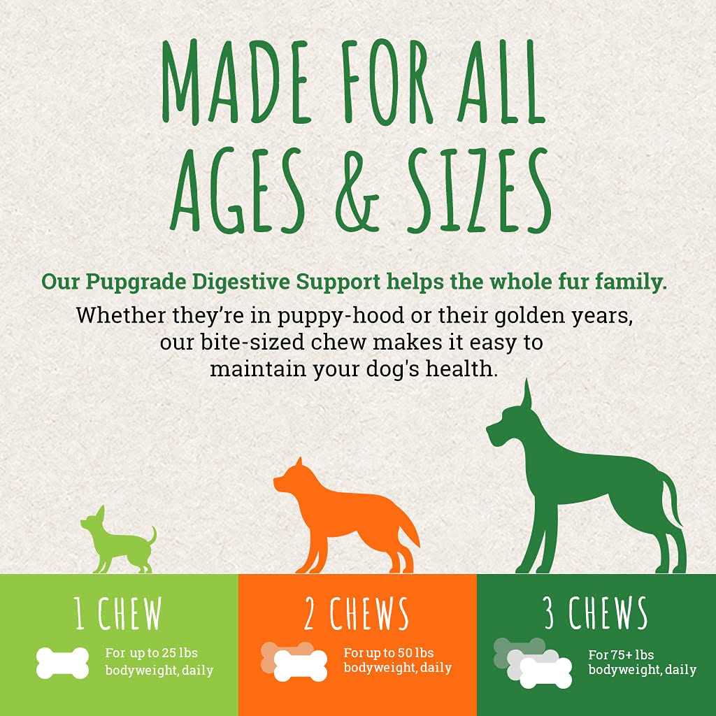 Digestive Support Chews for Dogs I932099