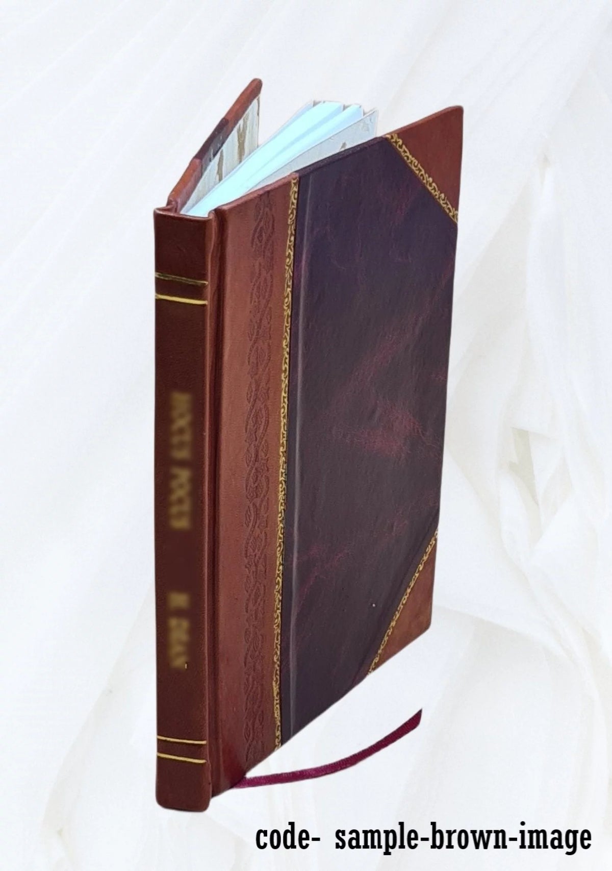 Whist and duplicate whist Leather Bound H2193