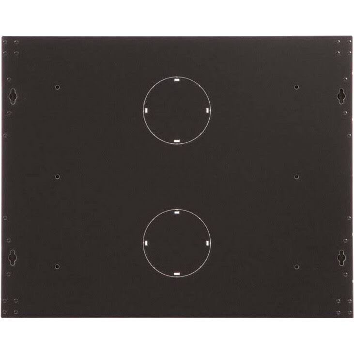 9U Swing-Out Wall Mount Cabinet with Glass Door J838285