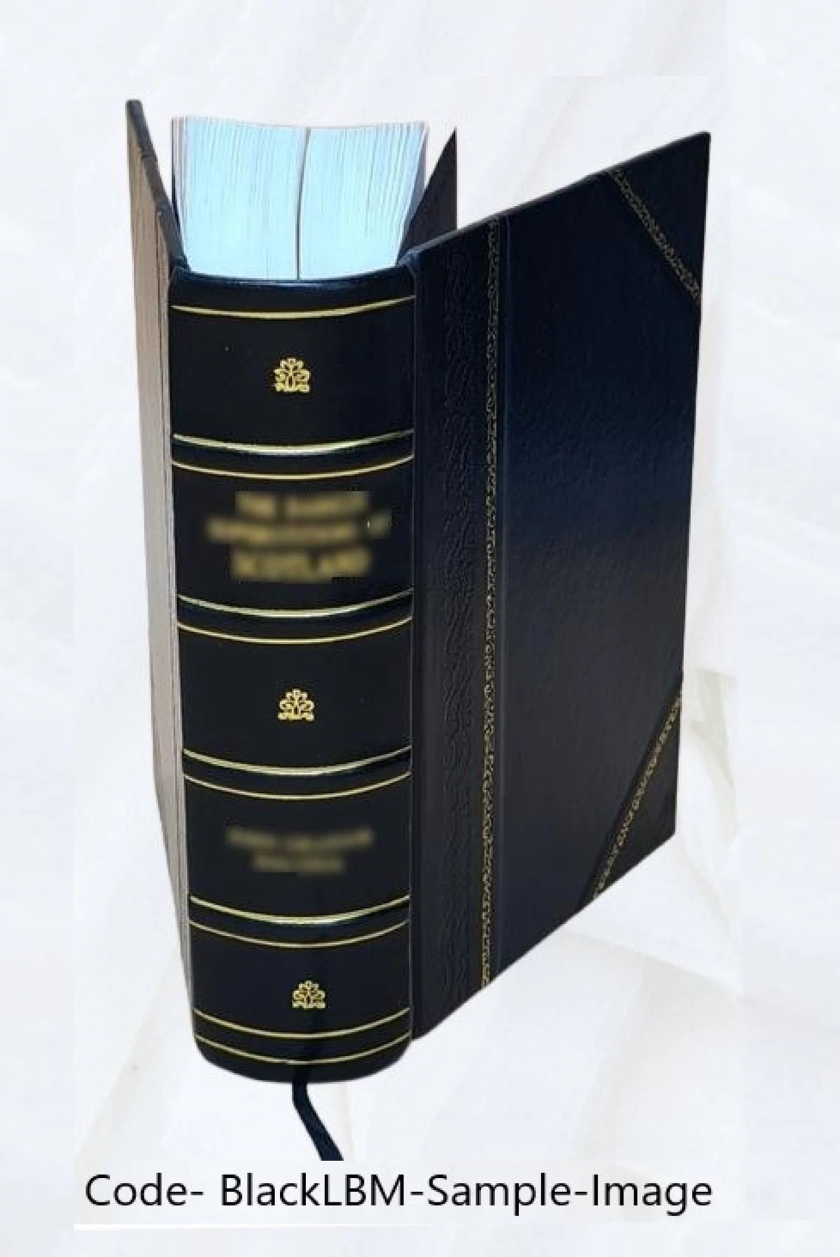 Montesquieu Œuvres complètes W147