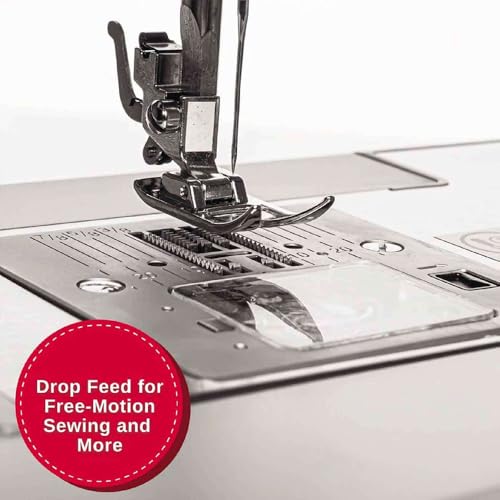 Heavy Duty Sewing Machine with Extension Table F9253