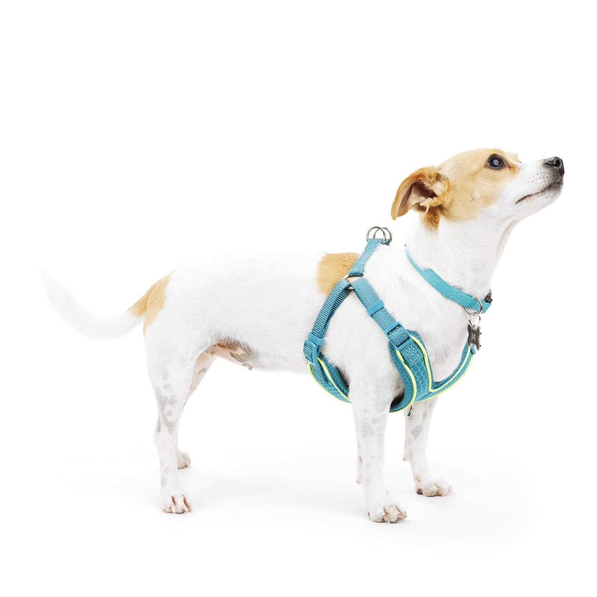 Reflective Dog Harness J865