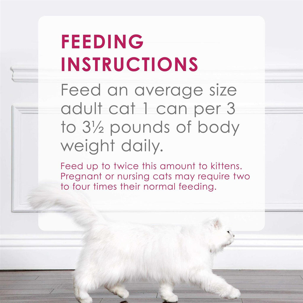 Chicken Pate Wet Cat Food K771