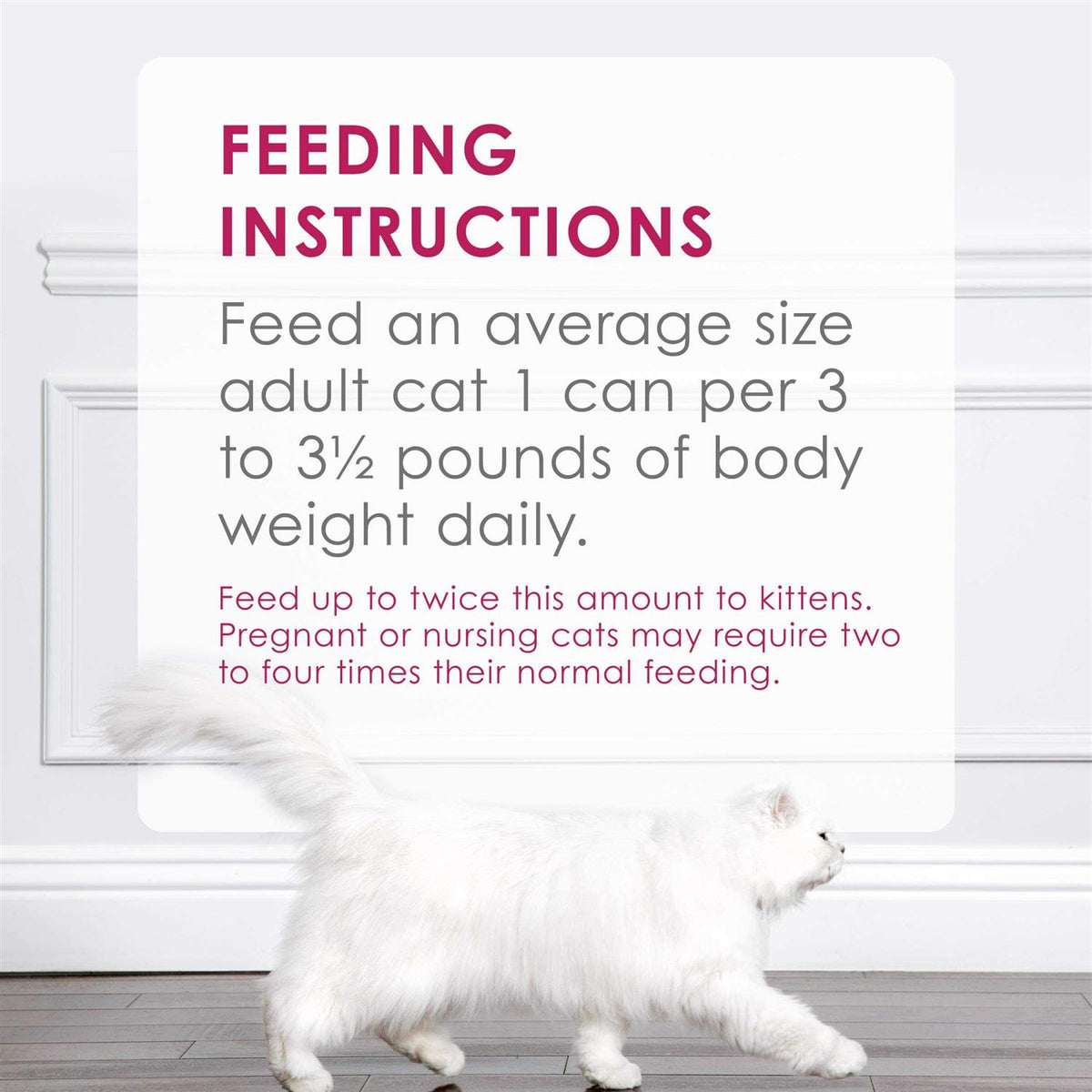 Chicken Pate Wet Cat Food K771