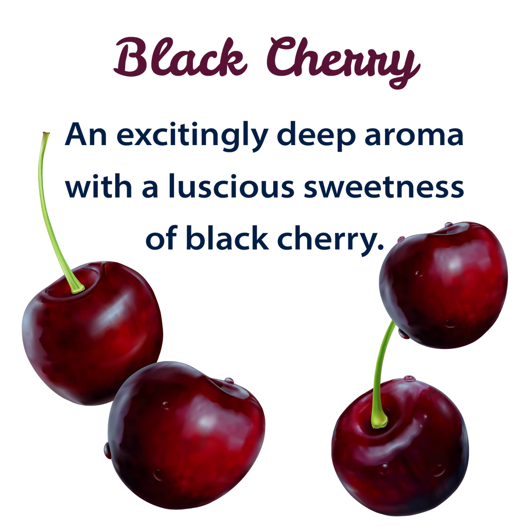 Black Cherry Sparkling Spring Water 12 Pack 42 oz Bottles O8085