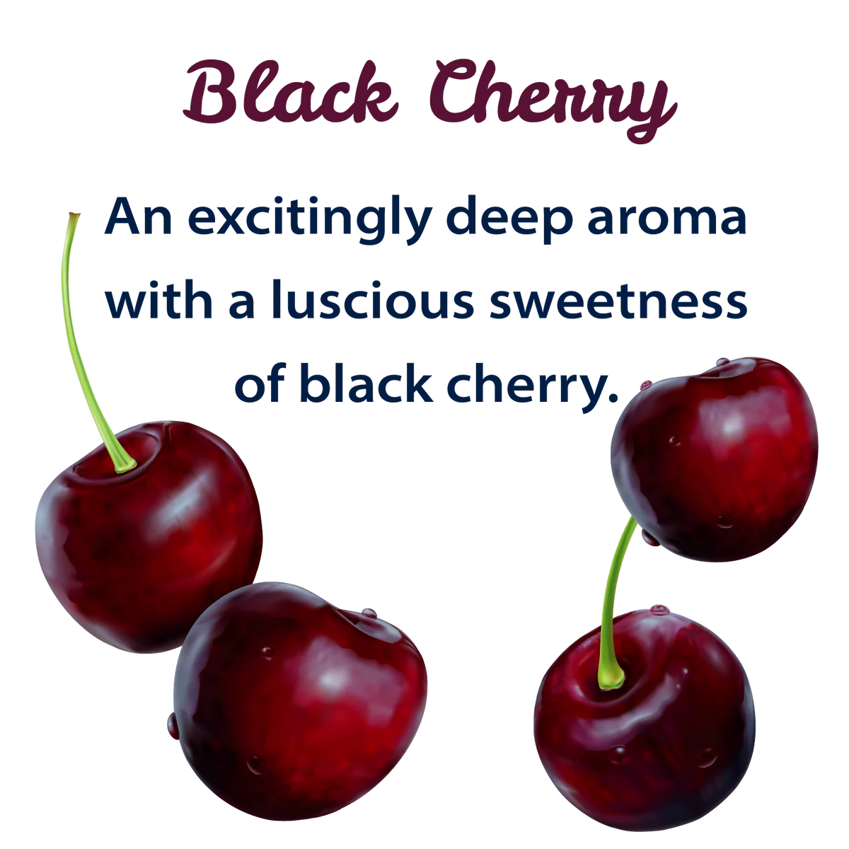 Black Cherry Sparkling Spring Water 12 Pack 42 oz Bottles O8085