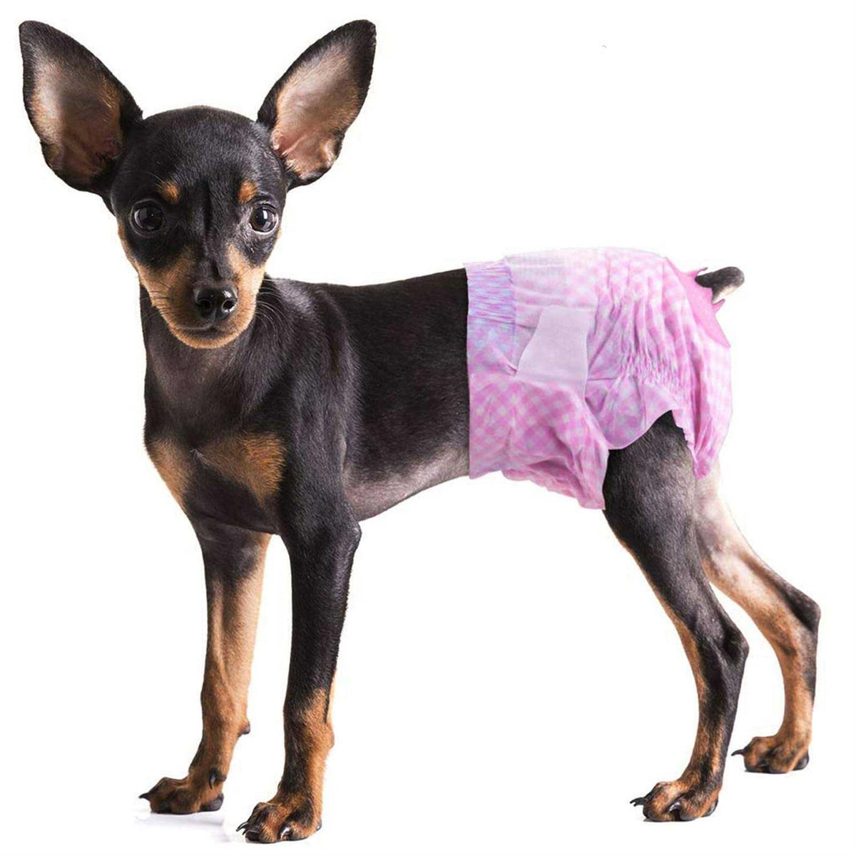 Soft Disposable Dog Diapers O561