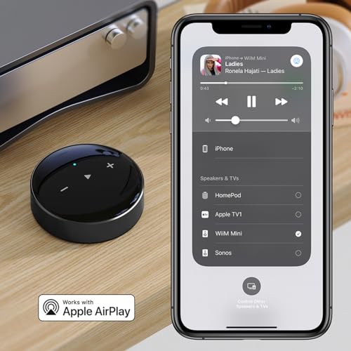 AirPlay 2 Wireless Audio Streamer N327