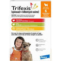 Dog Flea and Tick Prevention 6pk A111328