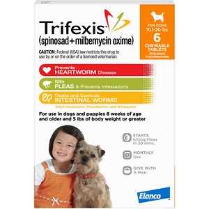 Dog Flea and Tick Prevention 6pk A111328