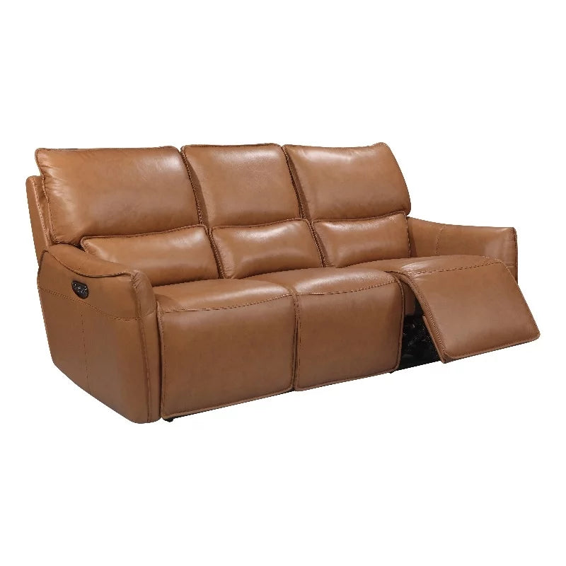 Desert Brown Leather & Hardwood Sofa N598