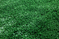 Green 6'x12' Artificial Synthetic Turf Grass P536