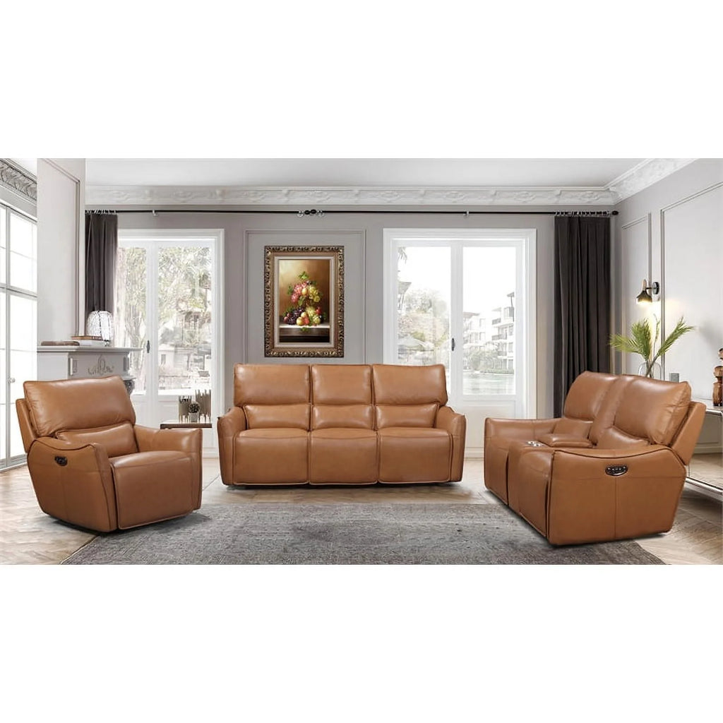 Desert Brown Leather & Hardwood Sofa N598