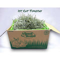 1st Cut Timothy Hay Small Pet Food J7769
