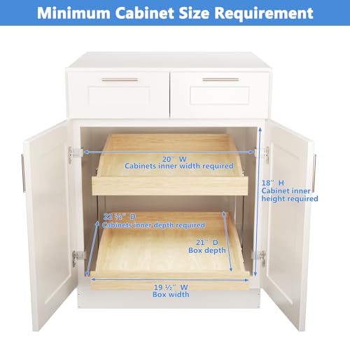 2-Tier Pull Out Cabinet Organizer N4386