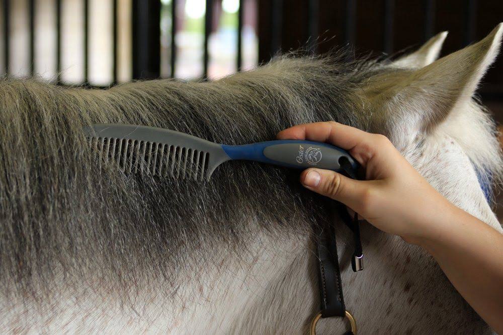 7-Piece Blue Grooming Kit K6397