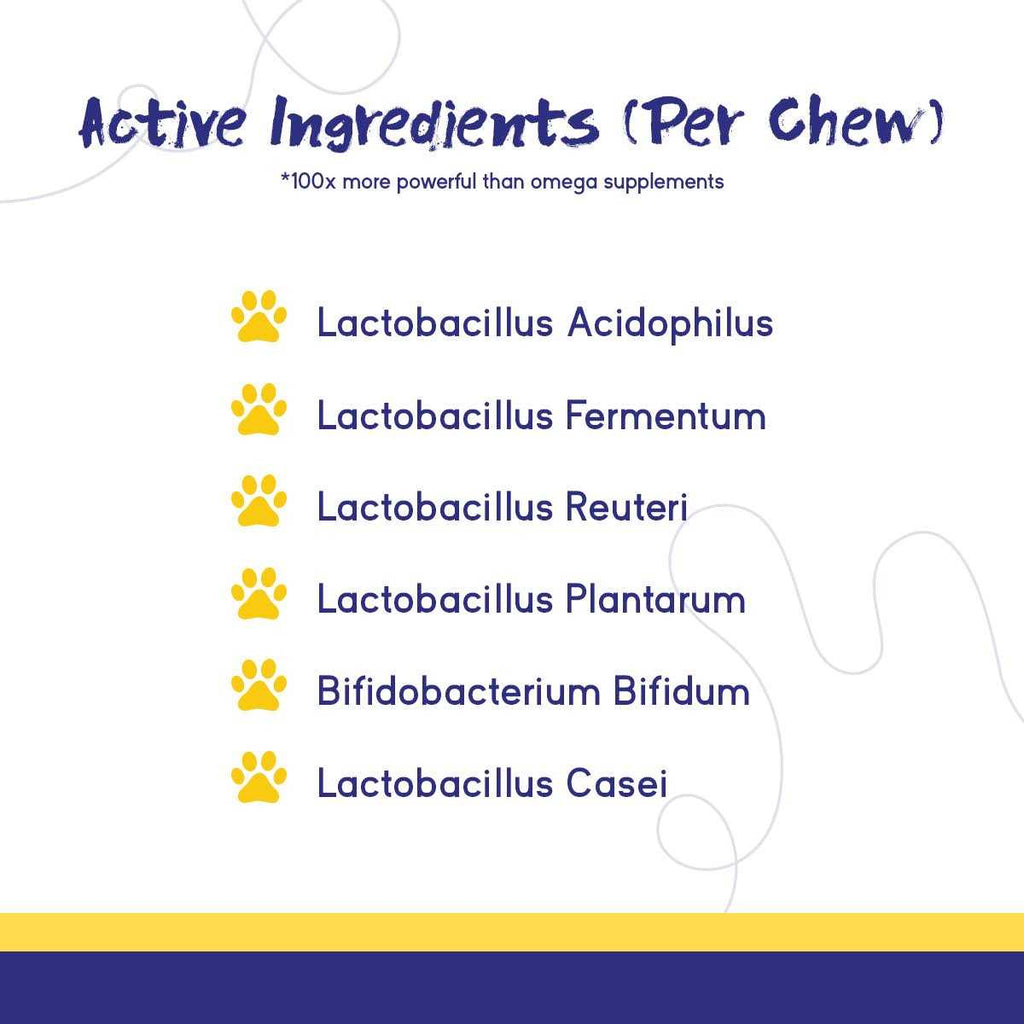 Digestive Support Chews for Dogs I932099