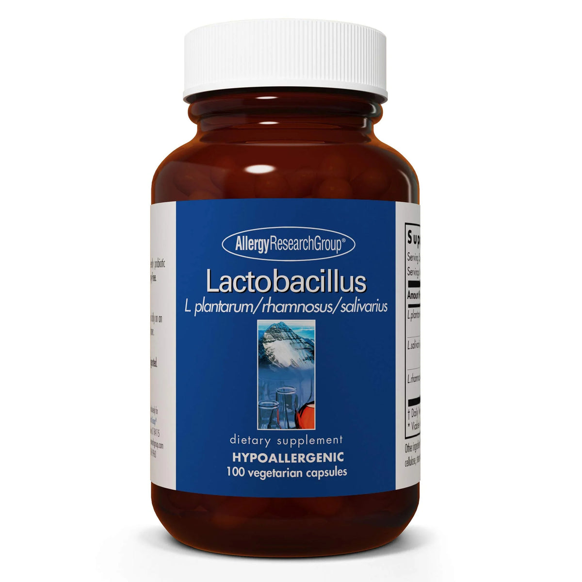 Vegetarian Capsules 100 Count Probiotic Supplement S81280