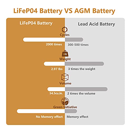 12V 10Ah LiFePO4 Deep Cycle Battery 2 Pack A919
