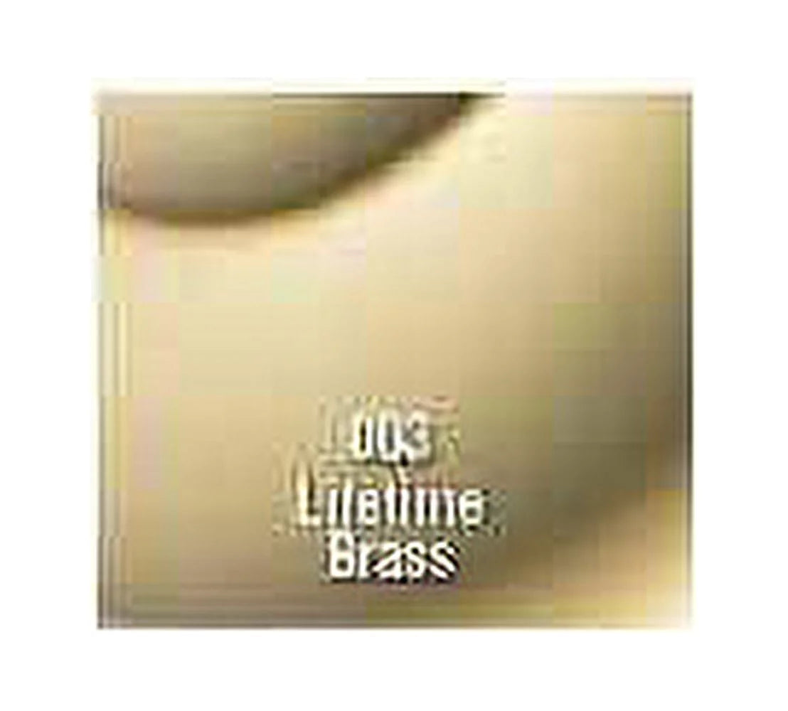 Polished Brass Door Knocker U717580