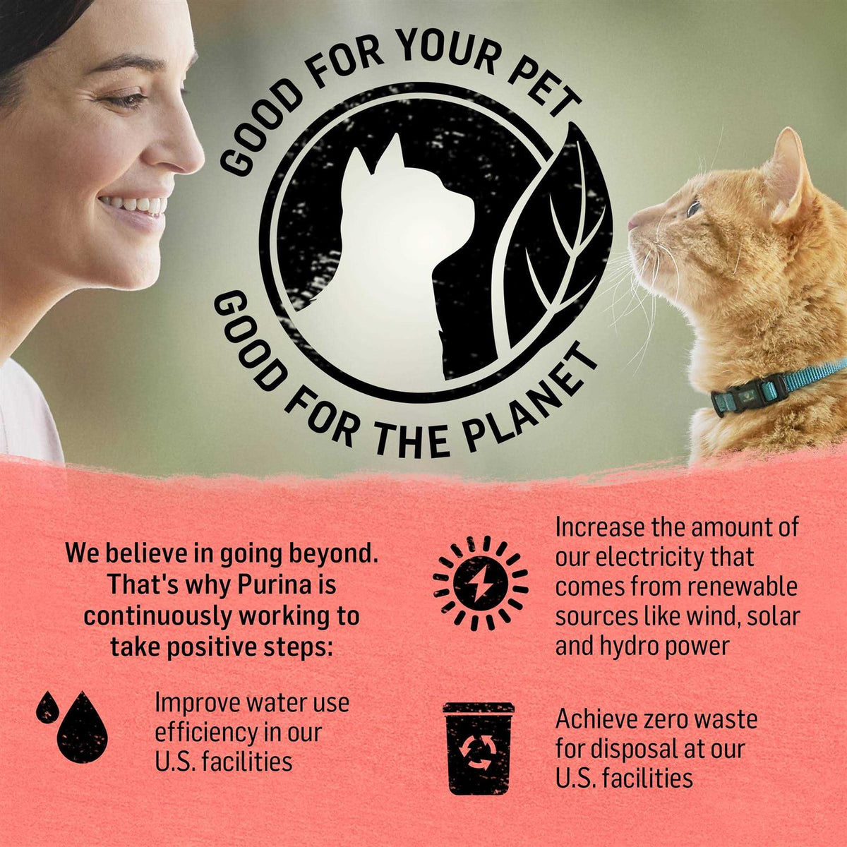 Cat Dry Food D4868