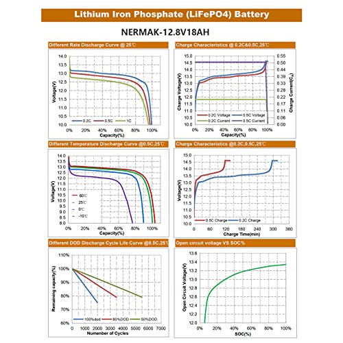 12V 10Ah LiFePO4 Deep Cycle Battery 2 Pack A919