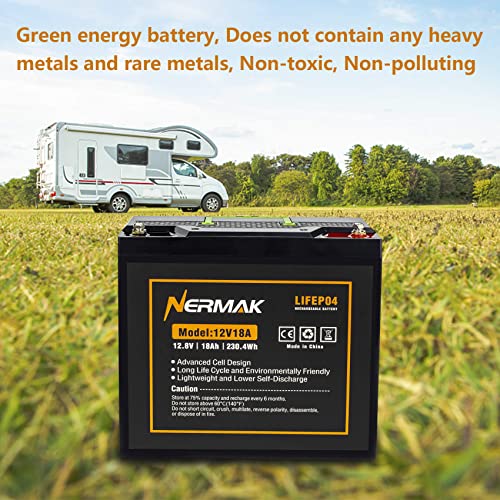 12V 10Ah LiFePO4 Deep Cycle Battery 2 Pack A919