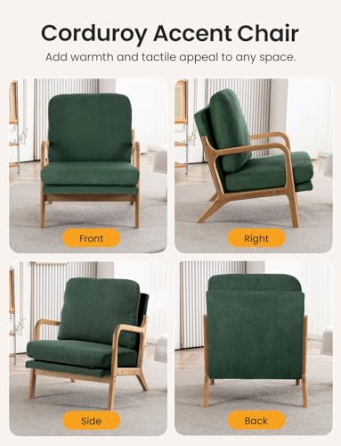 Mid Century Modern Sherpa Accent Chair with Detachable Cover M109002