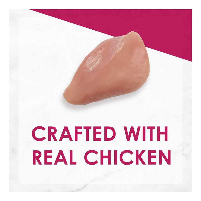 Chicken Pate Wet Cat Food K771