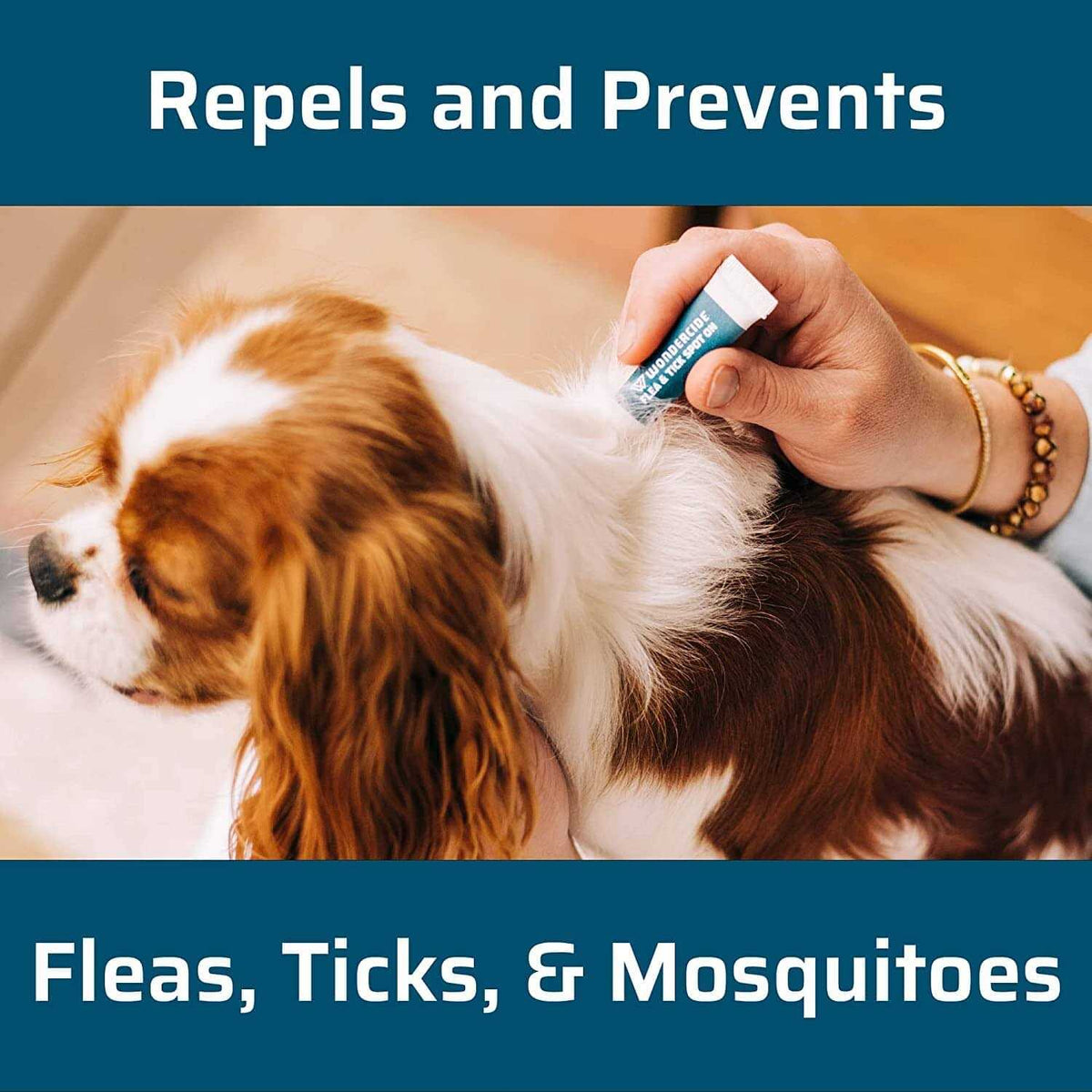 Flea & Tick Spot On for Dogs N11503