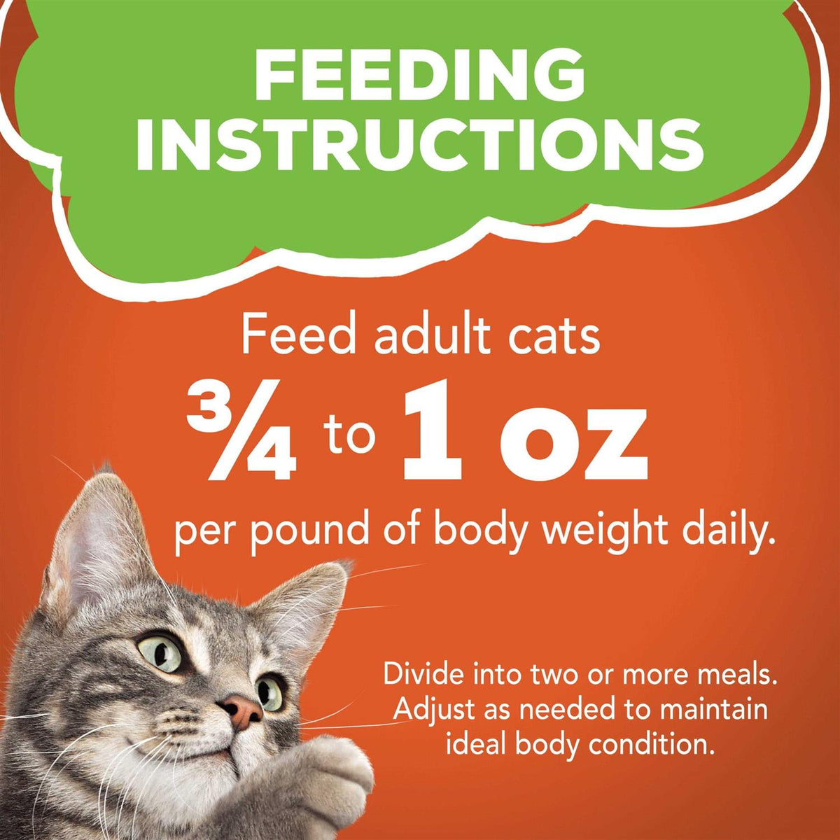 Liver & Chicken Dinner Pate Wet Cat Food P3376