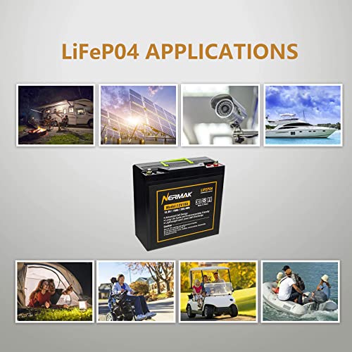 12V 10Ah LiFePO4 Deep Cycle Battery 2 Pack A919