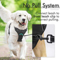 Adjustable Soft Padded Dog Harness with 2 Leash Clips A68974