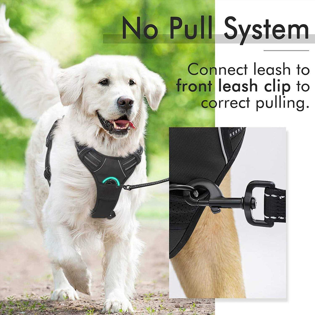 Adjustable Soft Padded Dog Harness with 2 Leash Clips A68974
