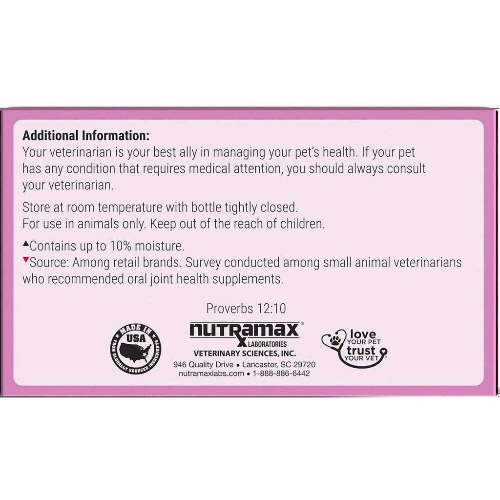 Joint Health Cat Supplement Capsules D43187