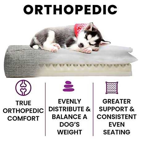 Orthopedic Dog Bed I166627