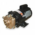 1 HP Pump T71807