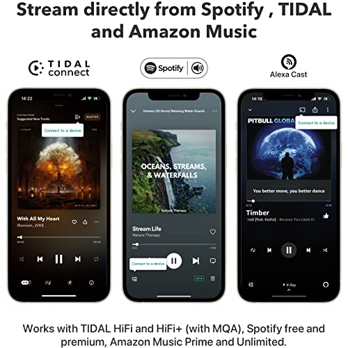 AirPlay 2 Wireless Audio Streamer N327