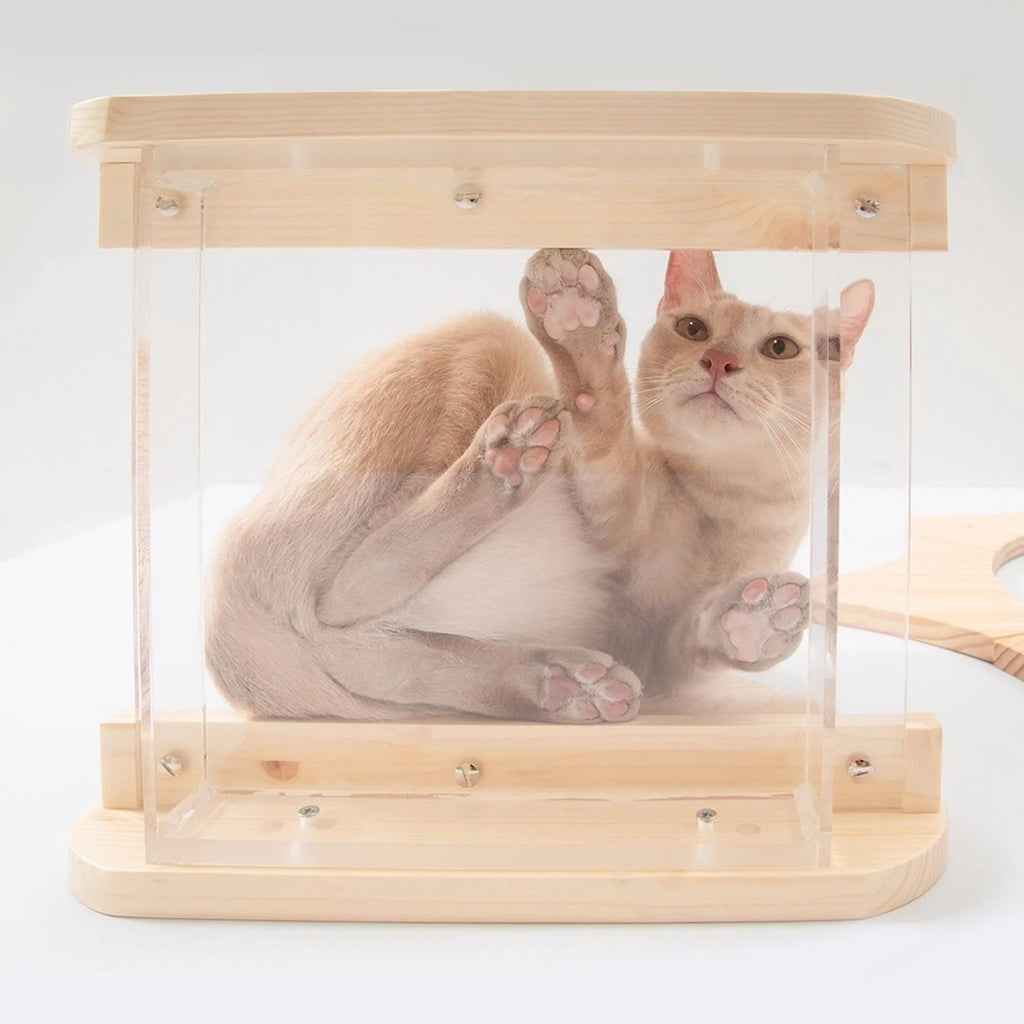 Natural Wood Cat Shelves L727988