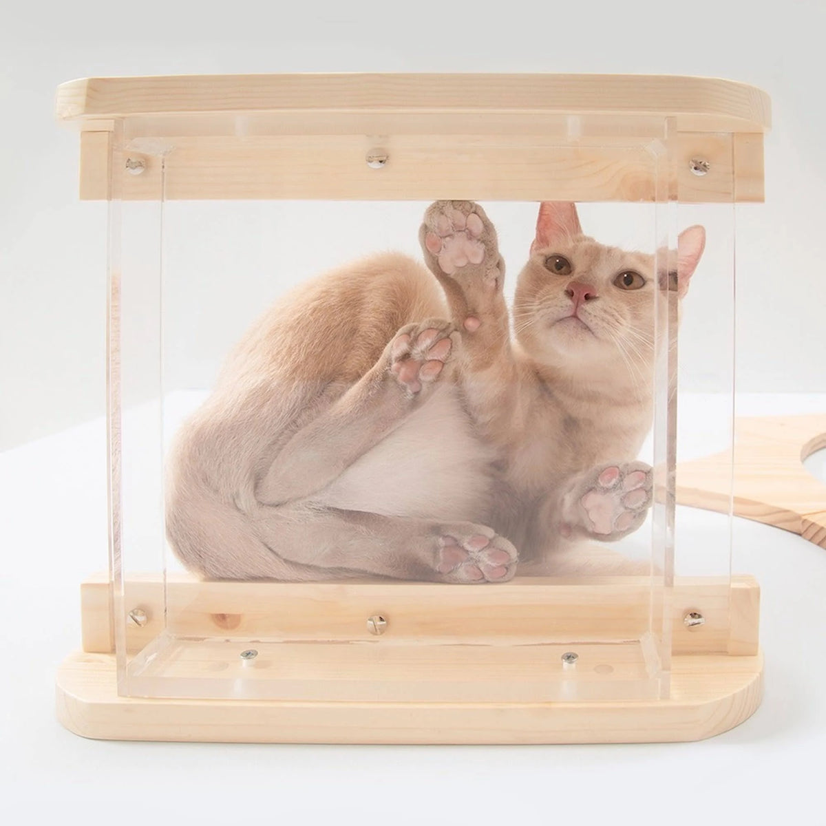 Natural Wood Cat Shelves L727988