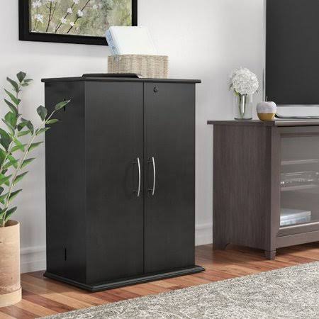 2 Door Storage Cabinet Black Z825406
