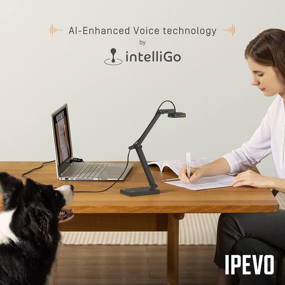 Ultra HD USB Document Camera with Mic I398
