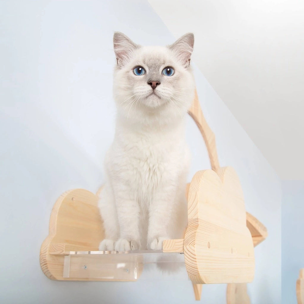 Natural Wood Cat Shelves L727988
