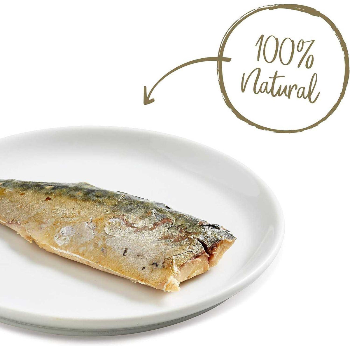 Whole Mackerel Loin Cat Treat B462260