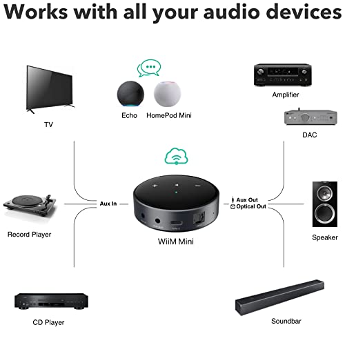AirPlay 2 Wireless Audio Streamer N327